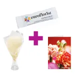 Geschenkpaket