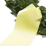 Yellow Ribbon